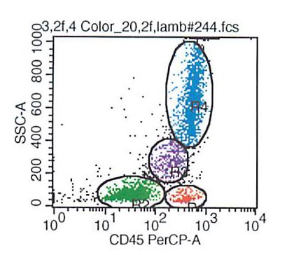 CD45 vs SSC